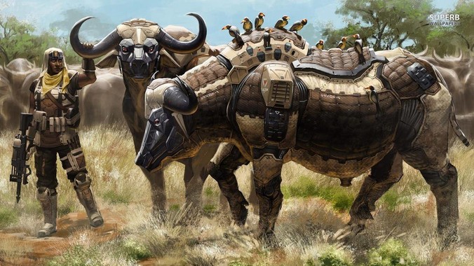 为啥小姐姐们都不想做主播了？